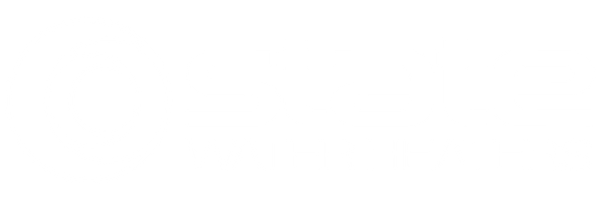 State Water Heaters Logo