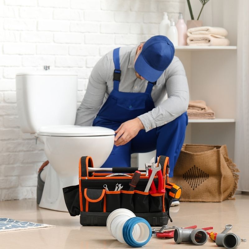Toilet Installation Repair in Holly Springs NC